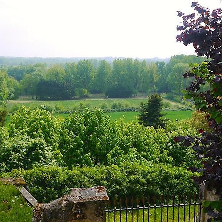 Gites Troglodytes Du Chateau De L'Etoile Vernou-sur-Brenne Esterno foto