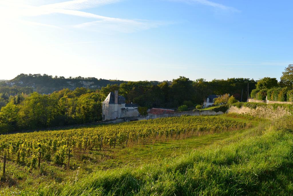 Gites Troglodytes Du Chateau De L'Etoile Vernou-sur-Brenne Camera foto